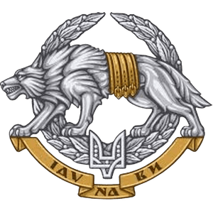 Special Operation Forces